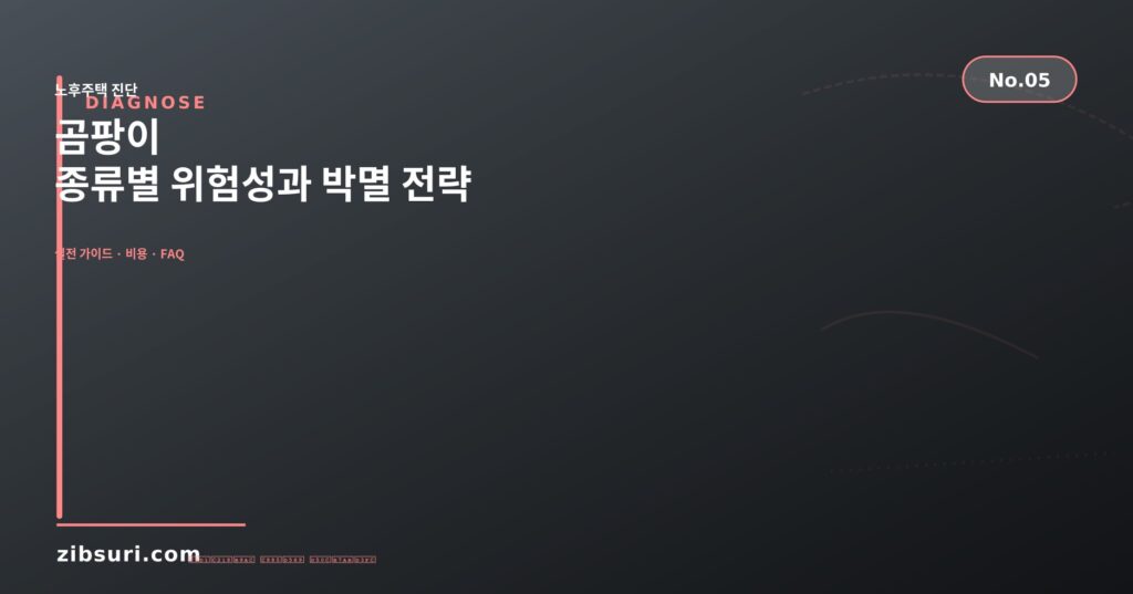 곰팡이 — 종류별 위험성과 박멸 전략